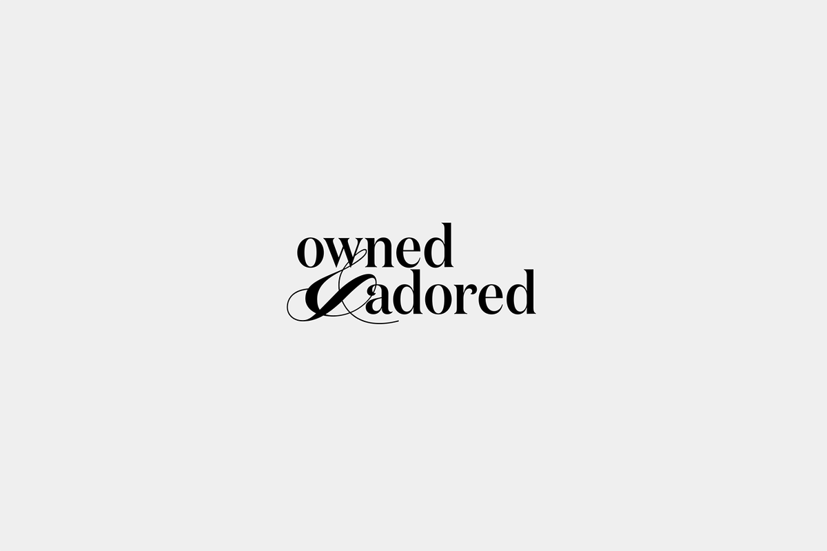 寵物用品品牌設(shè)計——Owned and Adored國外寵物配飾品牌設(shè)計案例，品牌設(shè)計，寵物用品品牌設(shè)計，寵物配飾品牌設(shè)計，品牌設(shè)計案例