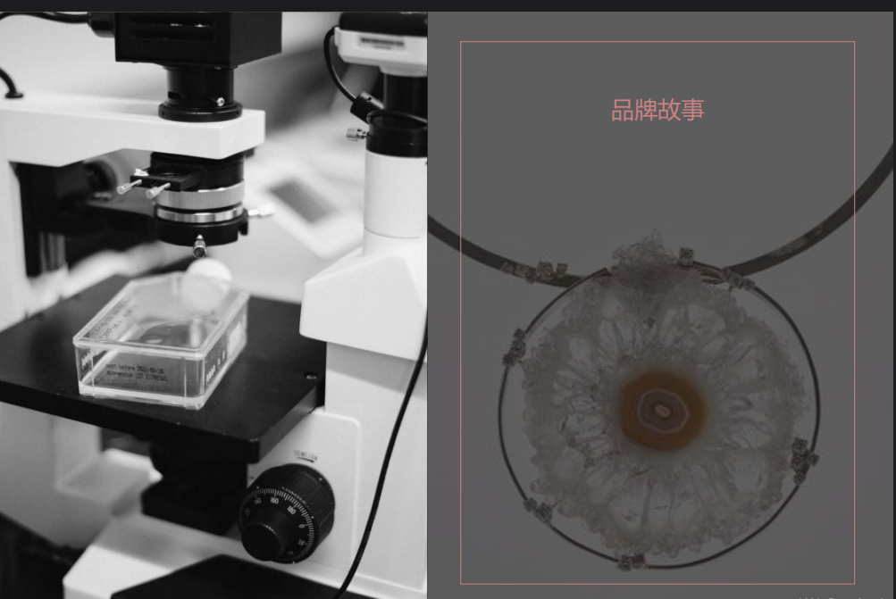 Vsense如何成為目標(biāo)客戶的意見領(lǐng)袖